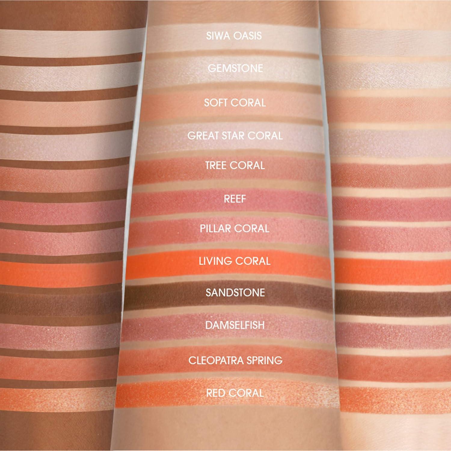 imageEBIN NEW YORK Golden Empire Secret of Pharaoh Eyeshadow Palette Highly Pigmented and Blendable CrueltyFree LongLasting Matte ampamp ShimmerCoral Oasis