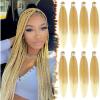 T27/613# Ombre Blond