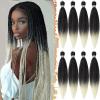 T1B/613# Noir Ombre Blond